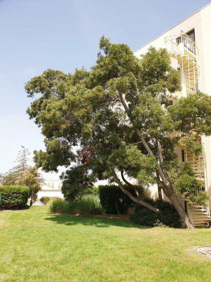 Studio Moderne Avec Parking Et Piscine- 313 Canet-en-Roussillon Zewnętrze zdjęcie