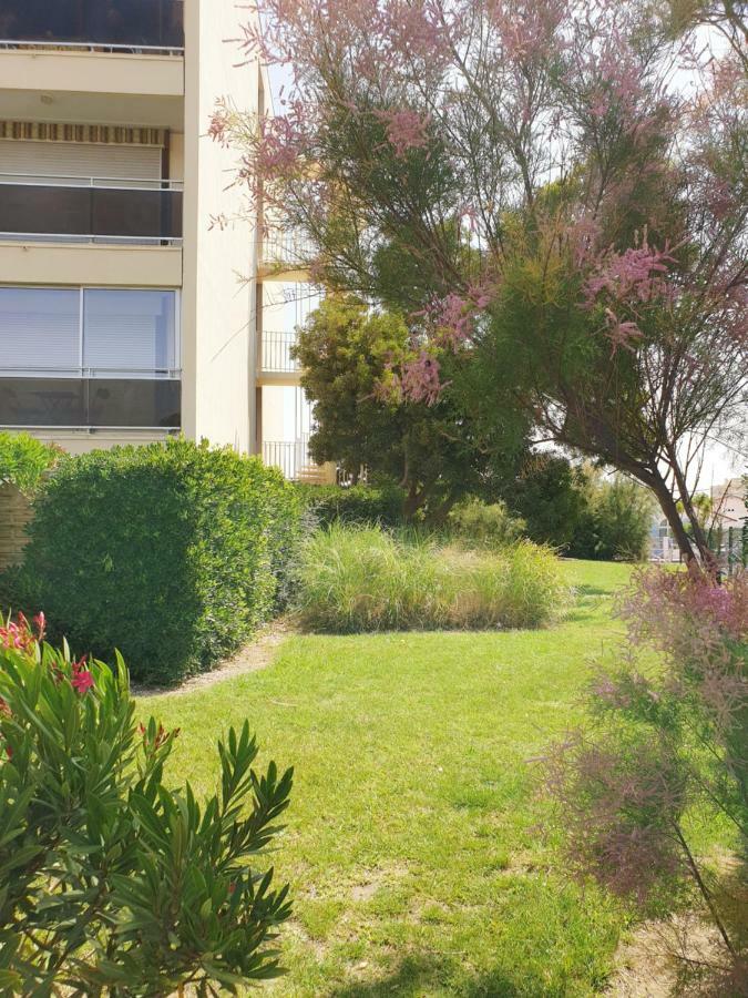 Studio Moderne Avec Parking Et Piscine- 313 Canet-en-Roussillon Zewnętrze zdjęcie